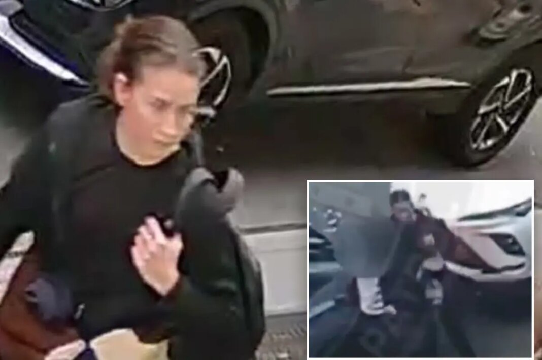 Maniac busted for stabbing rabbi with syringe in NYC â as cops reveal she attacked another Jewish victim hours earlier